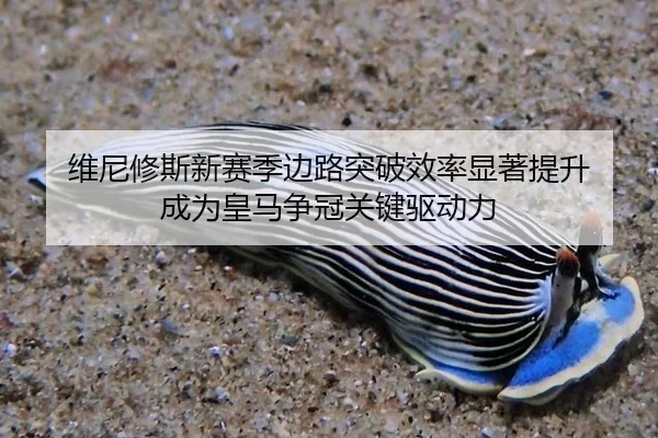 wei-ni-xiu-si-xin-sai-ji-bian-lu-tu-po-xiao-lv-xian-zhu-ti-sheng-cheng-wei-huang-ma-zheng-guan-guan-jian-qu-dong-li-2-227.jpg